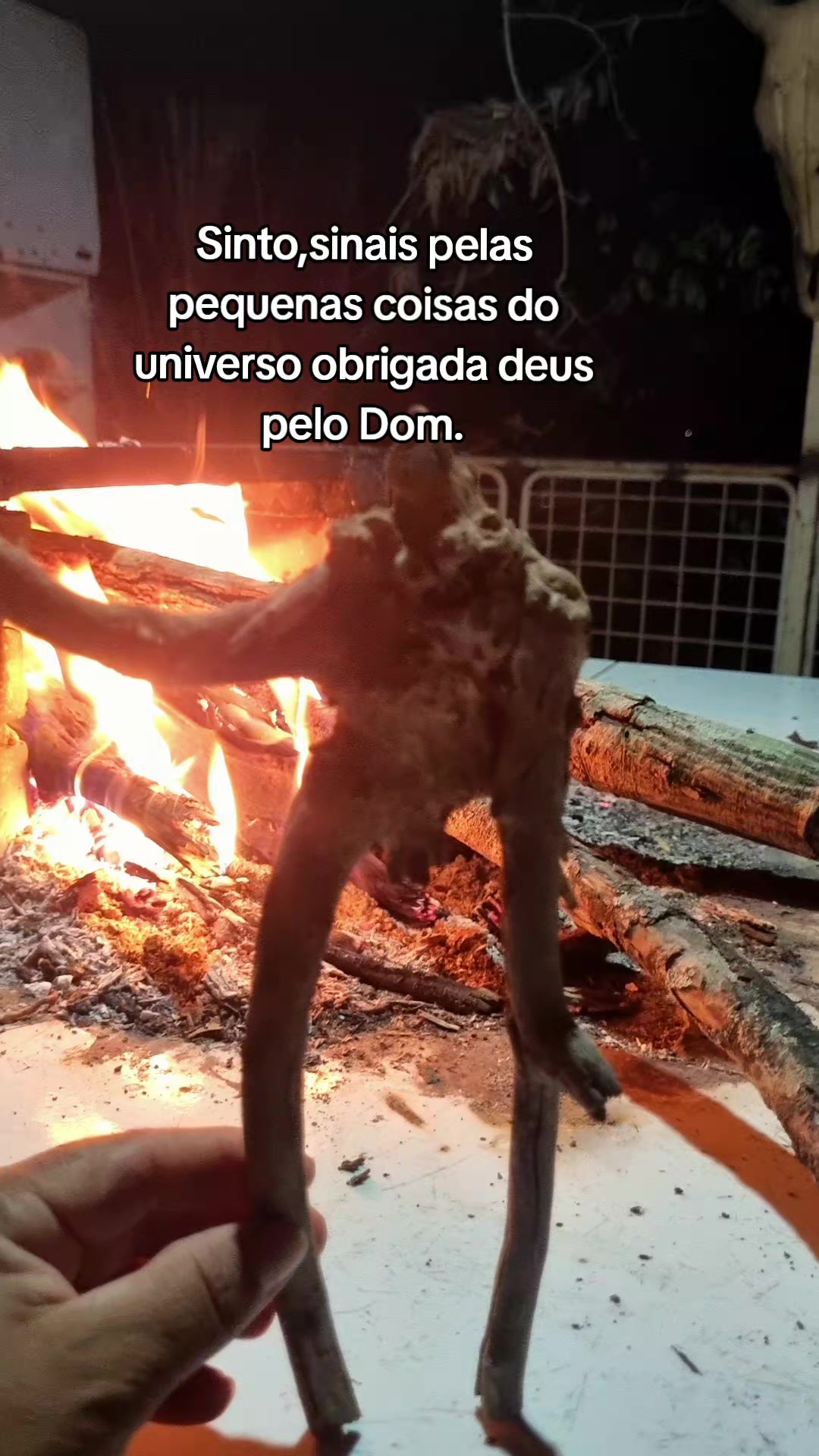 @dorasantos545