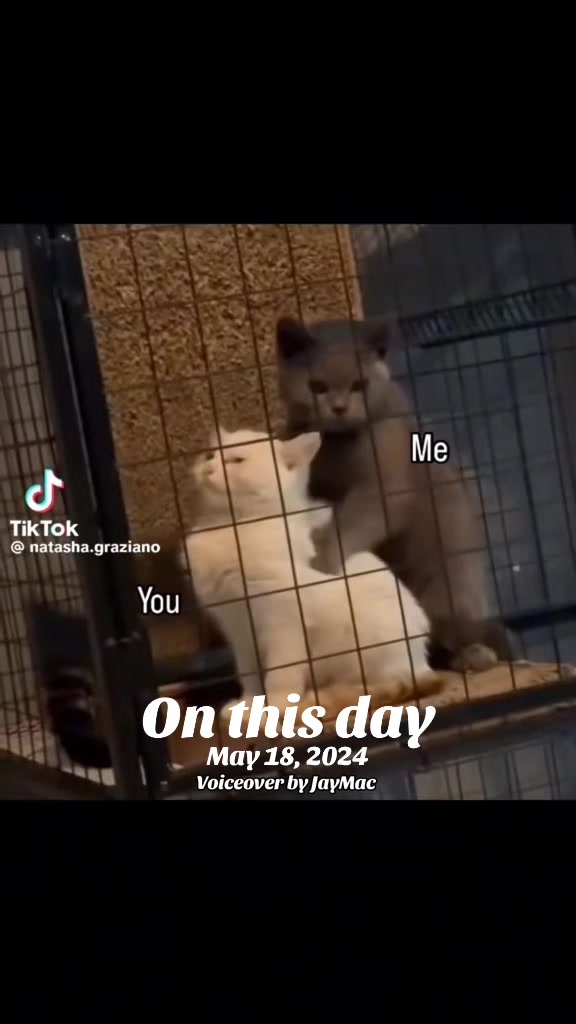 @JayMacComedy