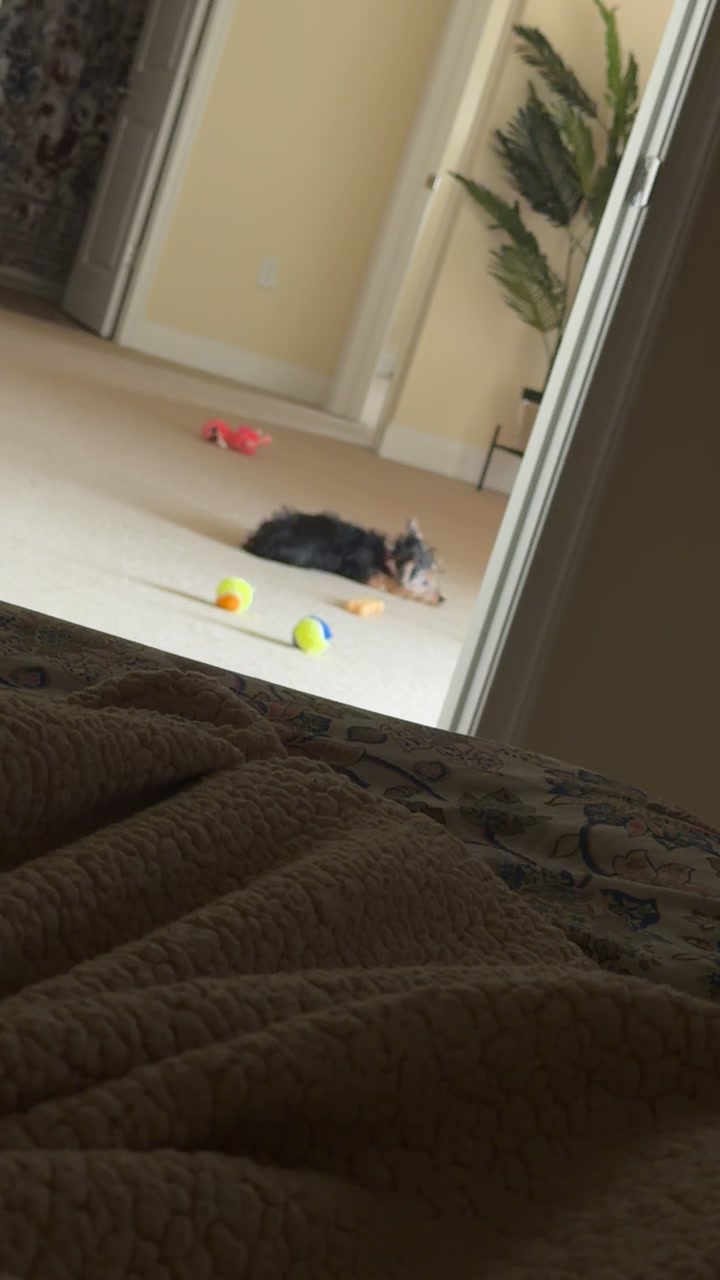 @Zaaxaa