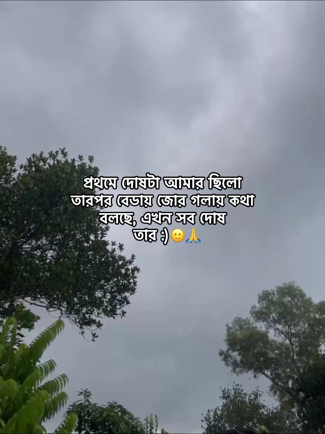 @⁷𝐇𝐚𝐦𝐢𝐝𝐚◡🧃