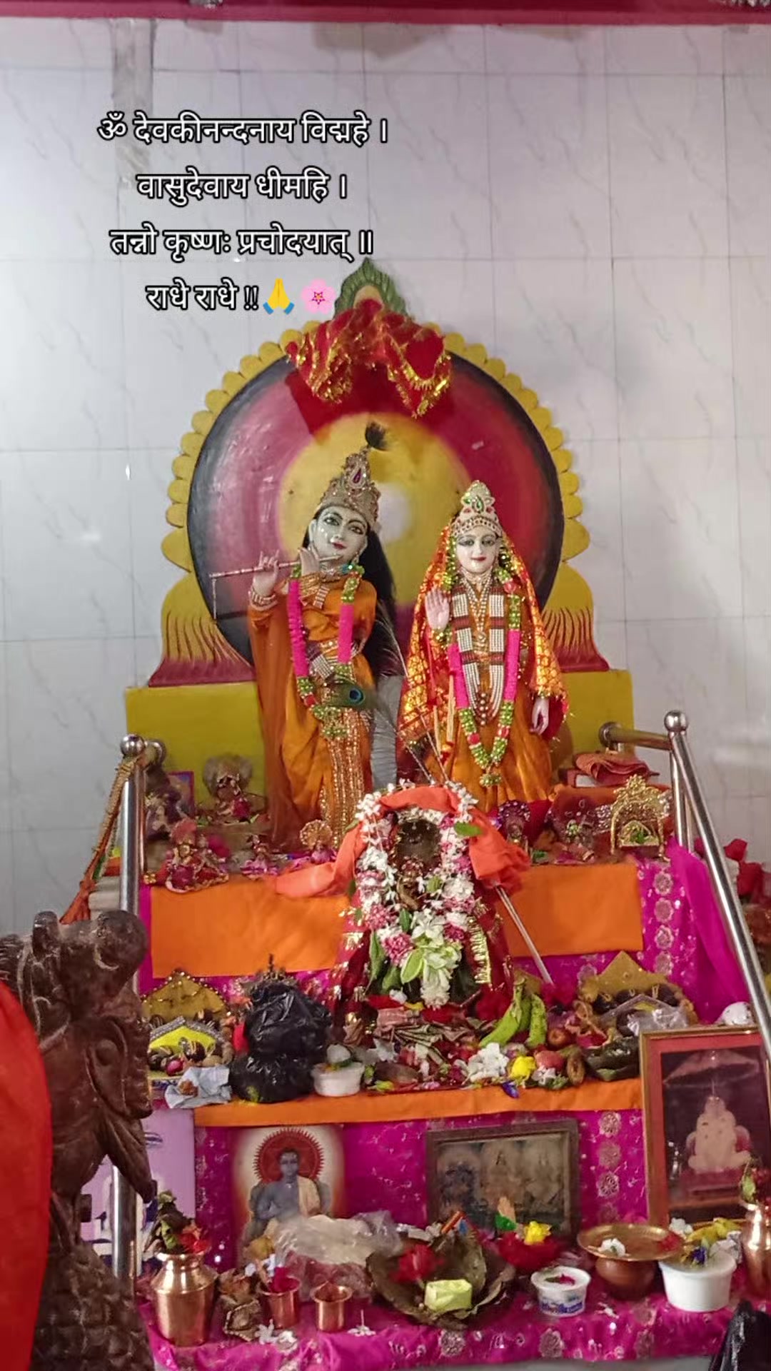 @rakhi thakur🌸🕊️