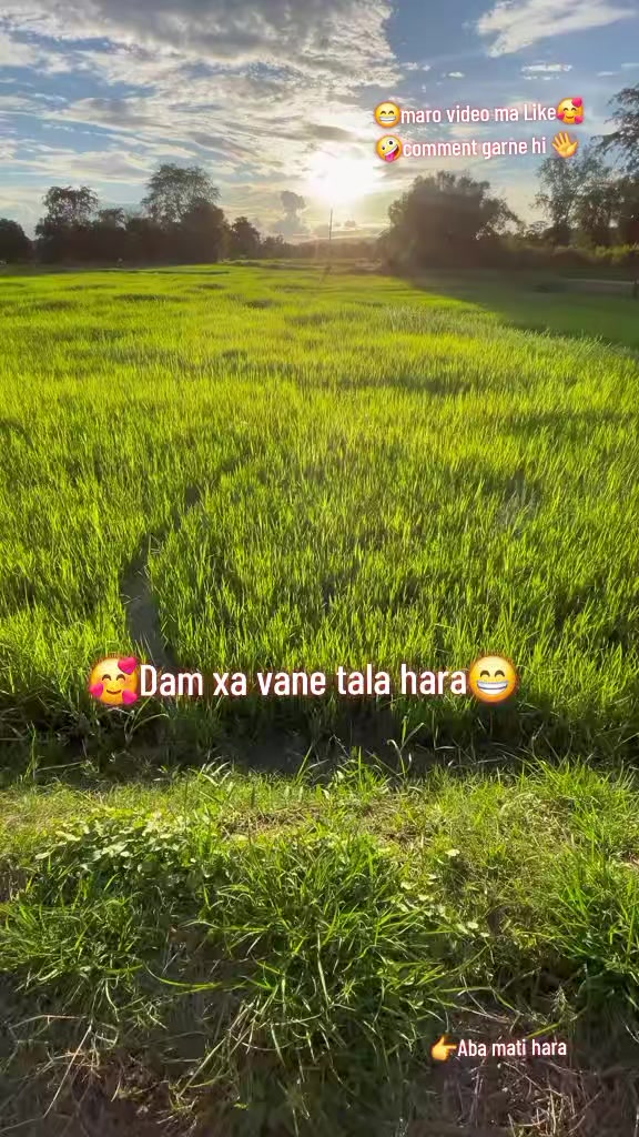 @Alisha Xetry ❤️🩹A
