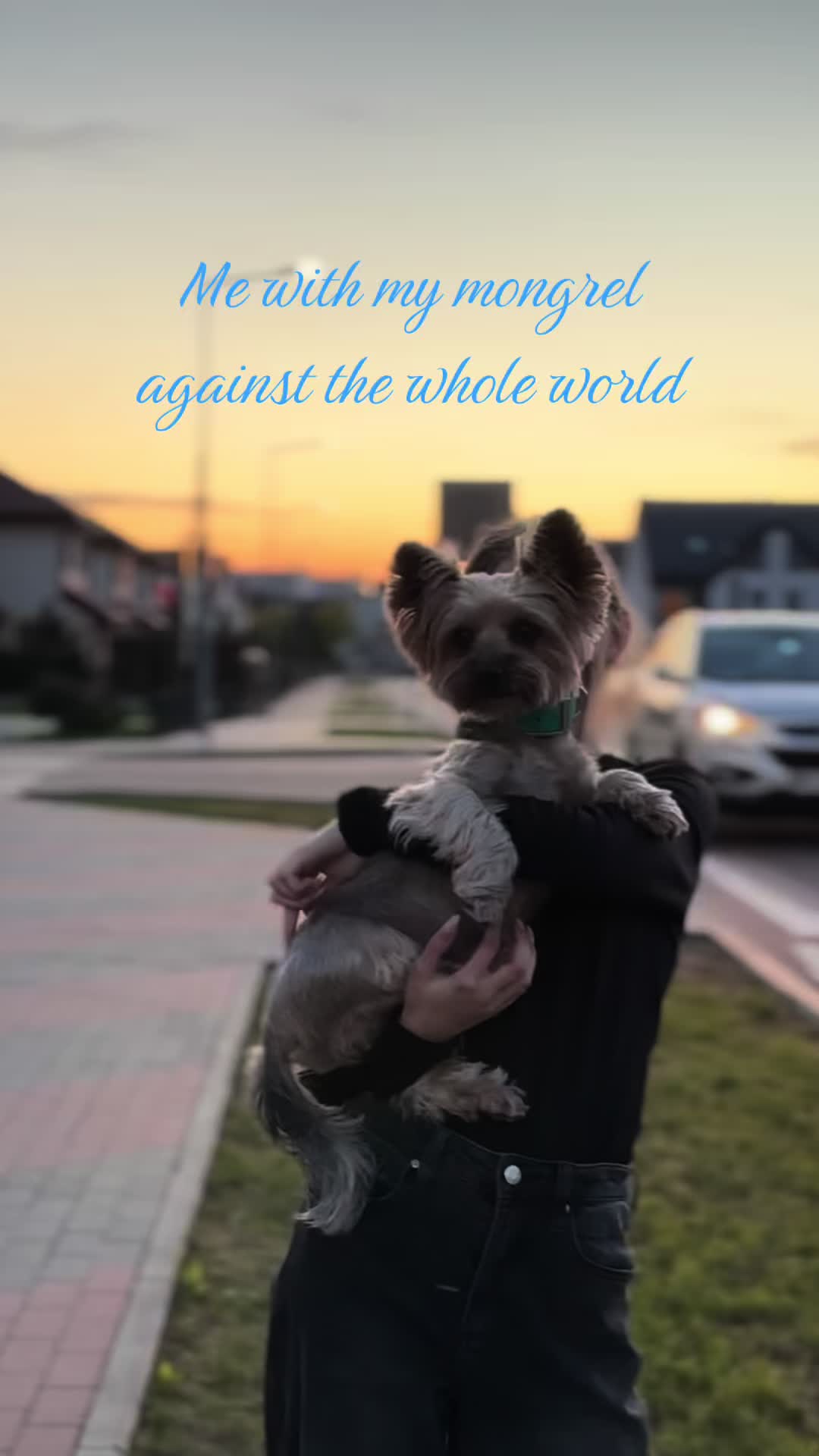 @🕊️