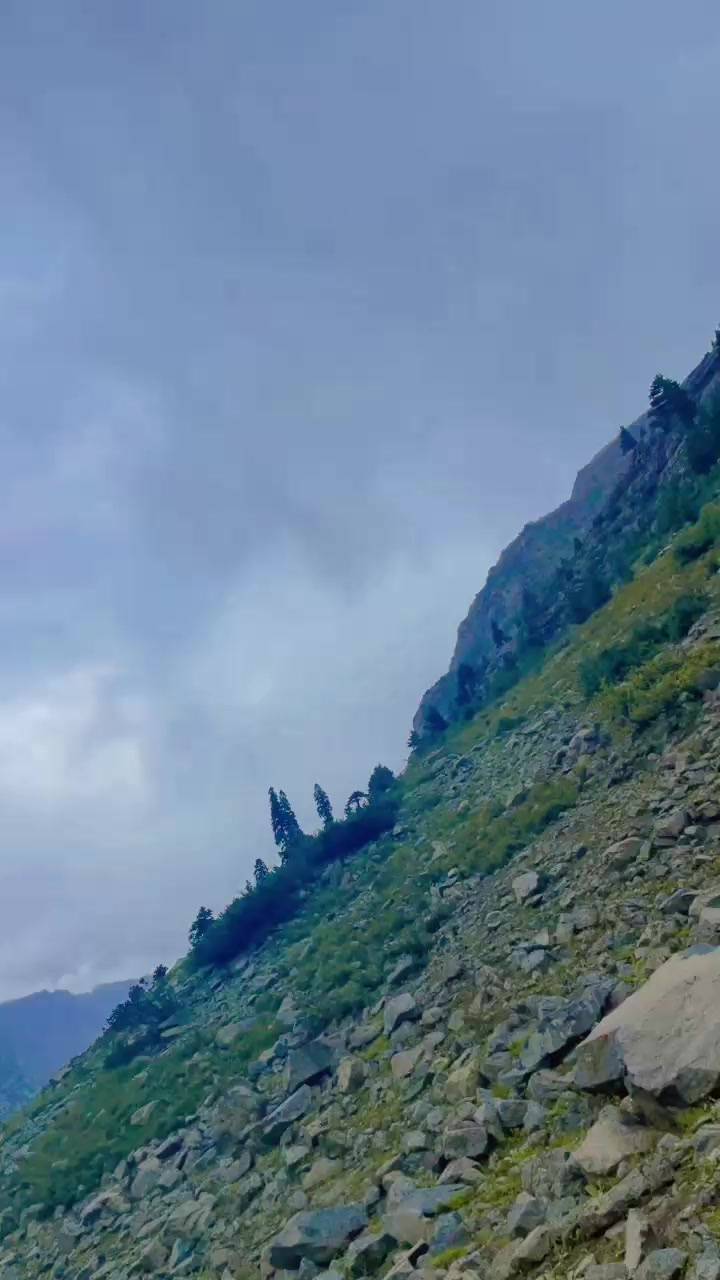 @Mr Chauhan 🔥✅
