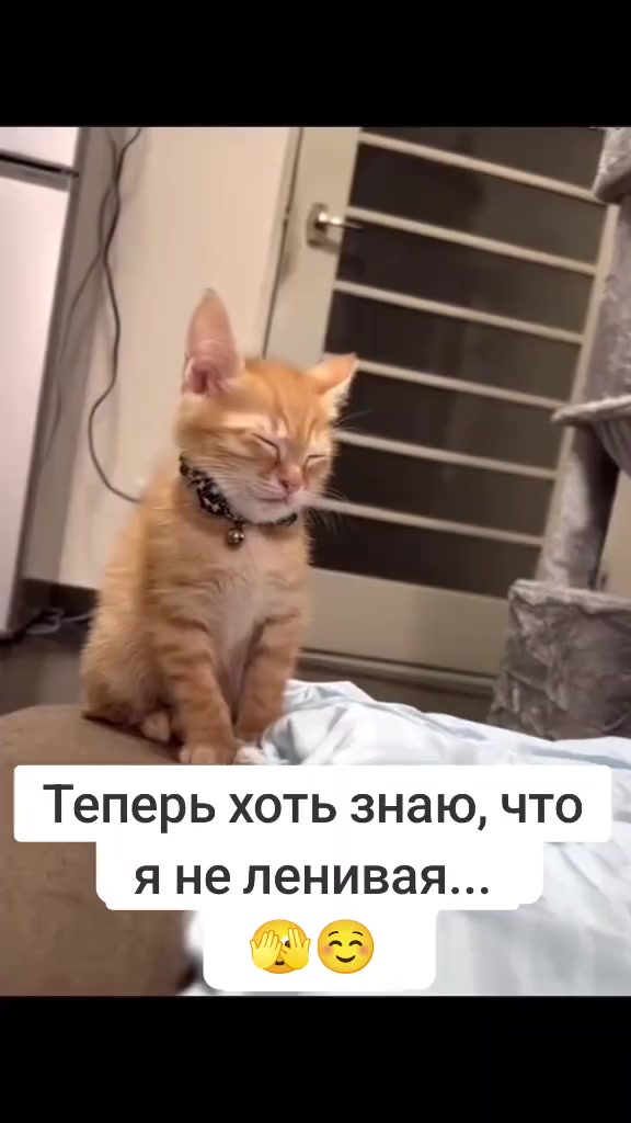 @Светлячок