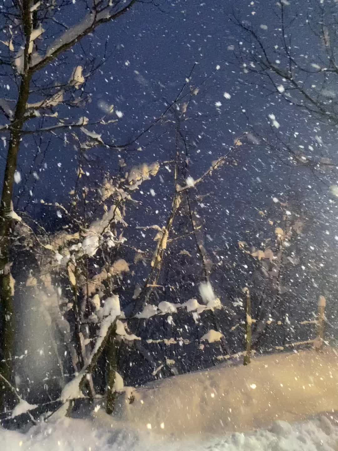 @SERKAN IŞIK