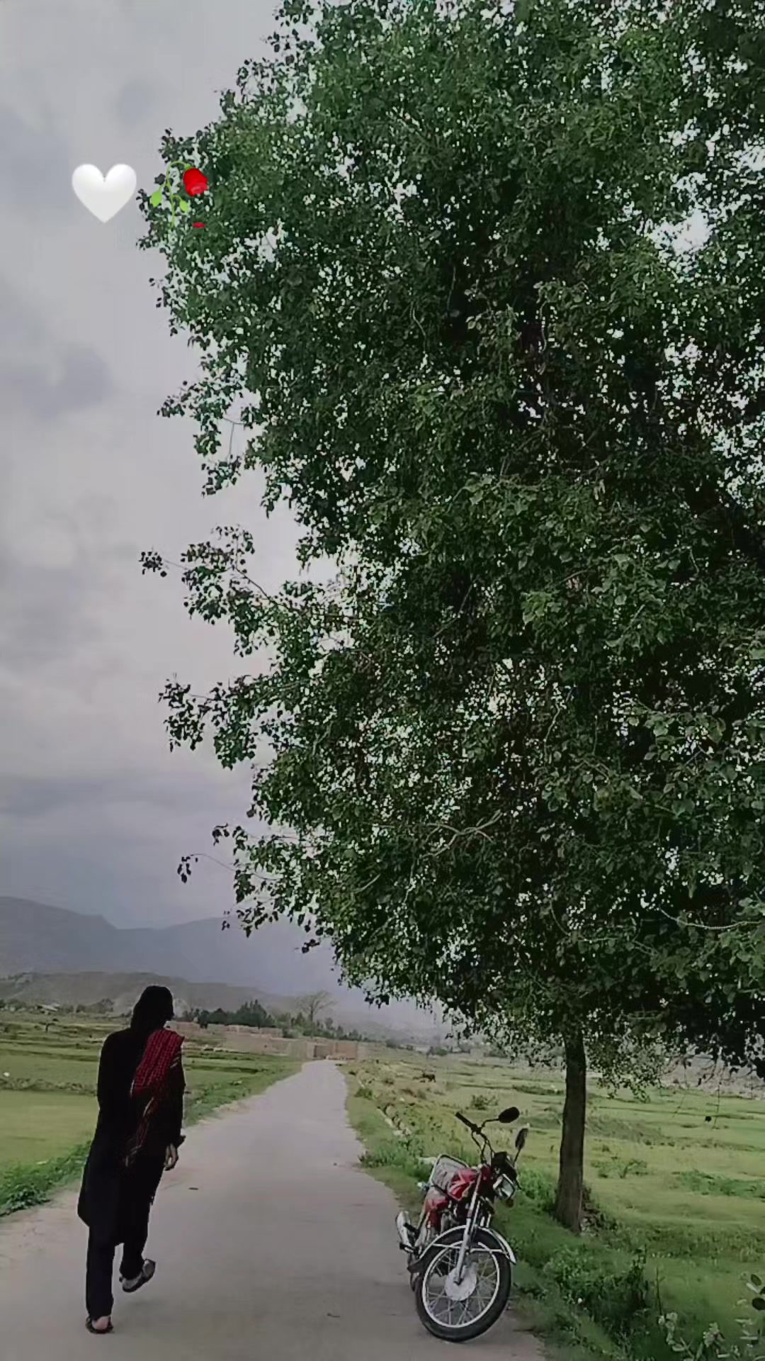 @Sair😈 Ghouri✌
