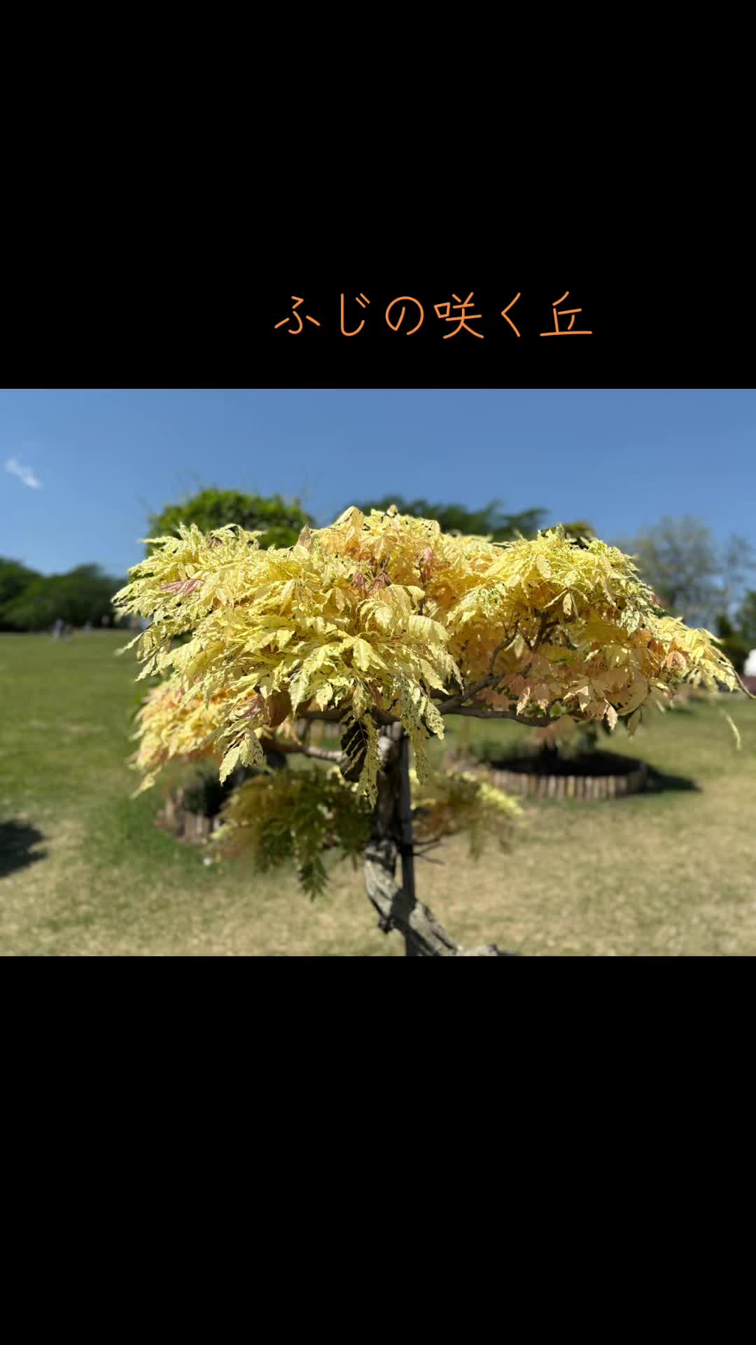 @ぜる