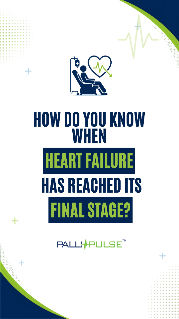 @Pallipulse