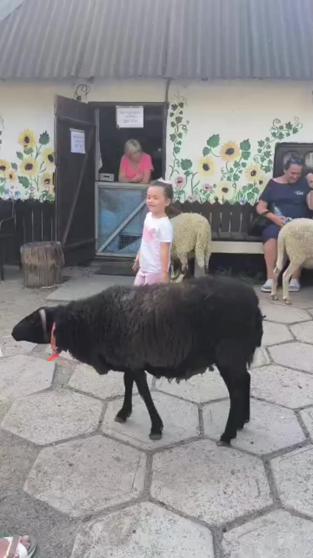 @Аня Волошина