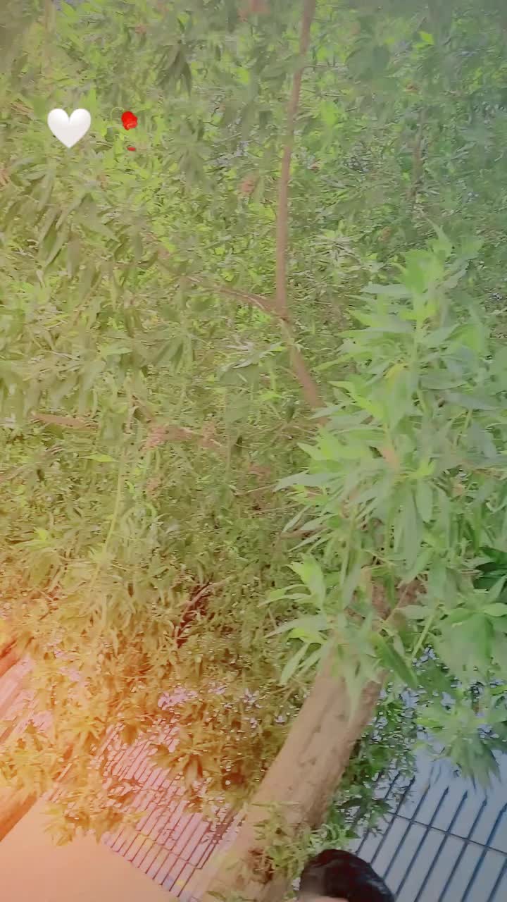 @𝐒𝐡𝐞𝐢𝐤𝐡 𝐂𝐡𝐚𝐧𝐝_💫