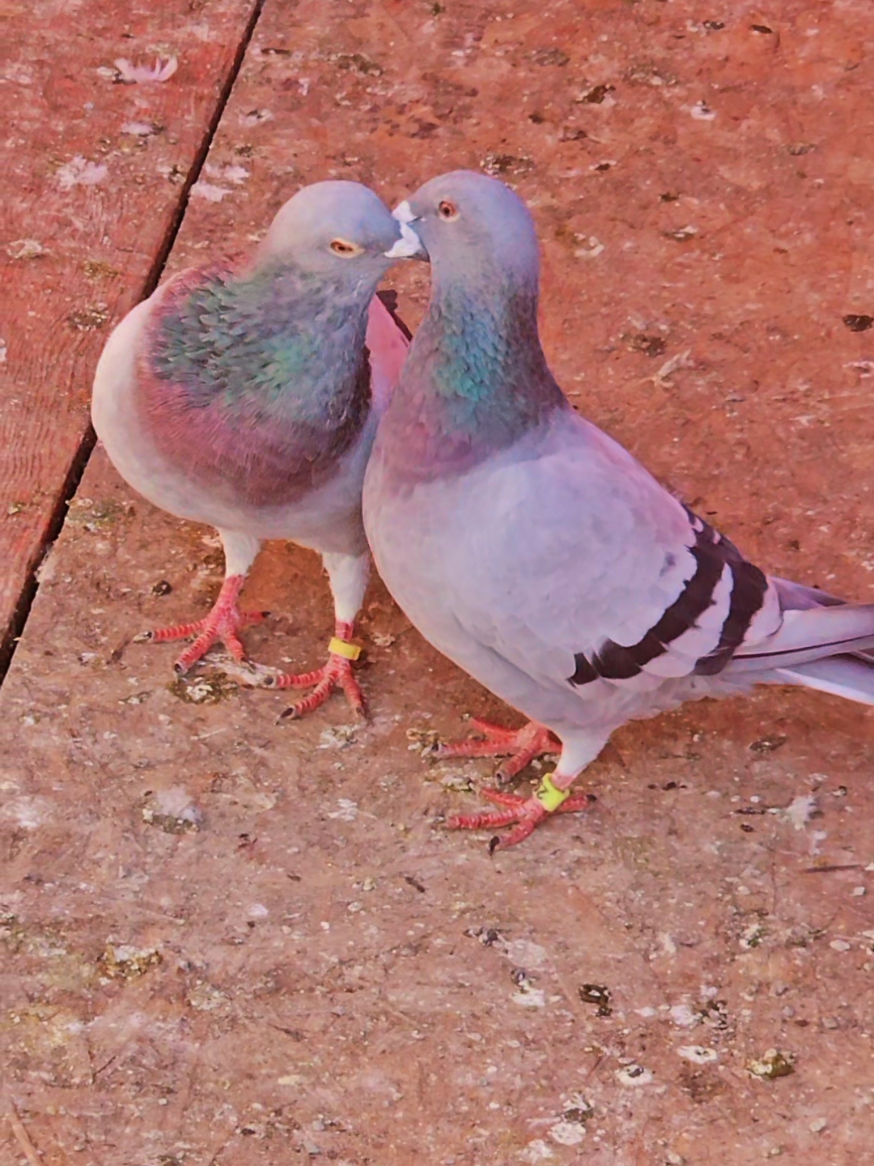 @I Love Nature