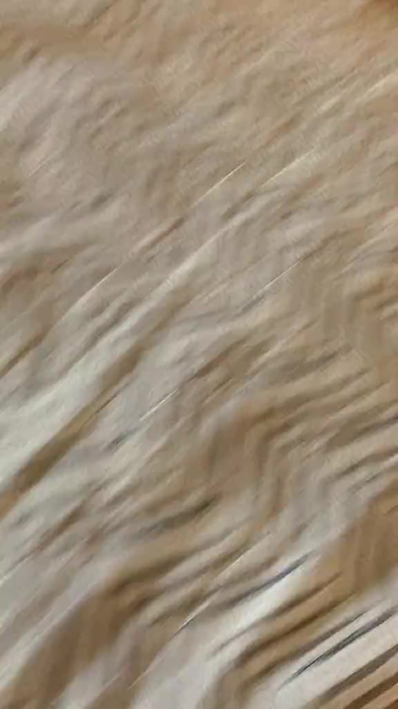 @میری کائنات❤️
