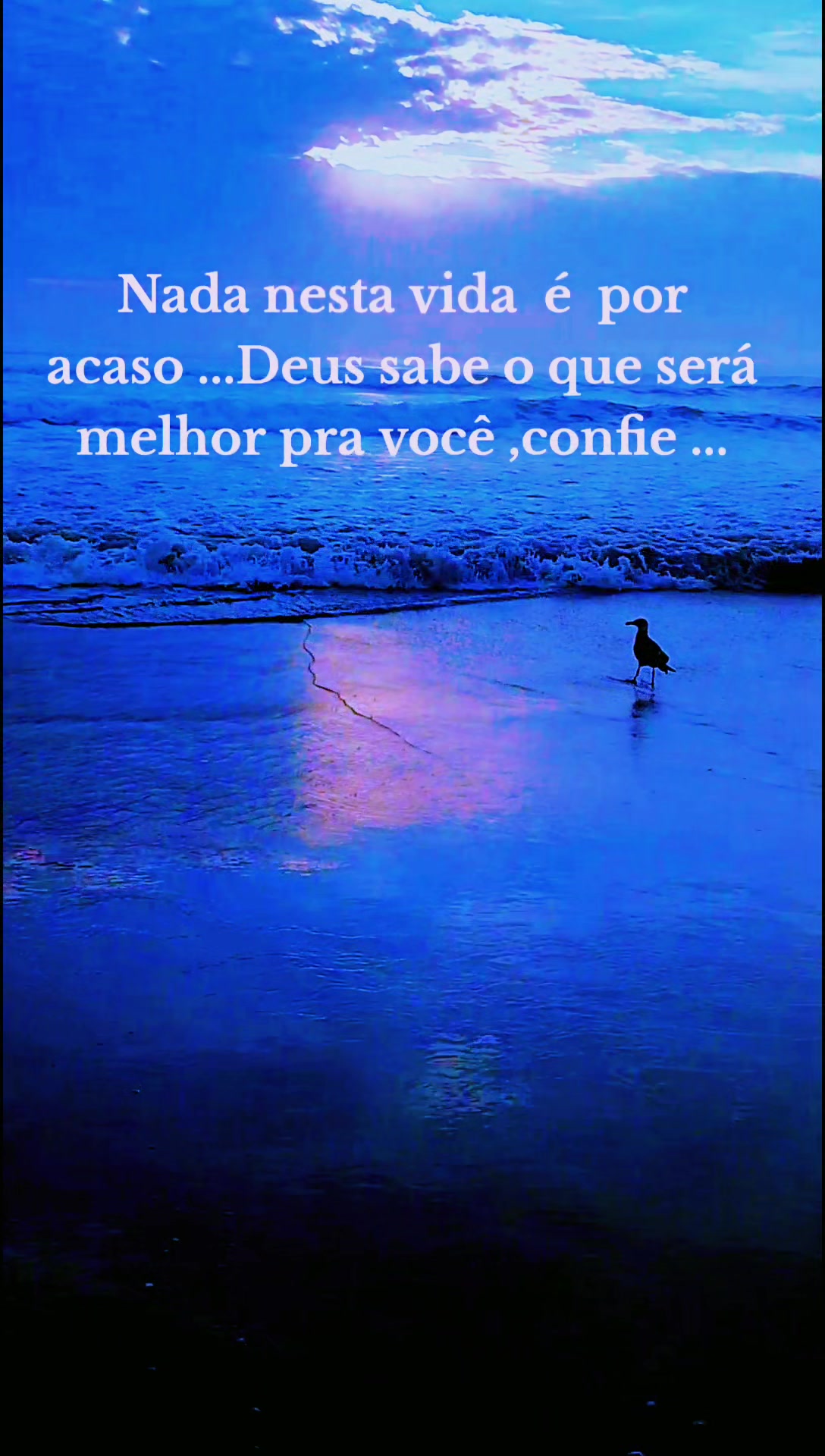 @Sonia cordeiro