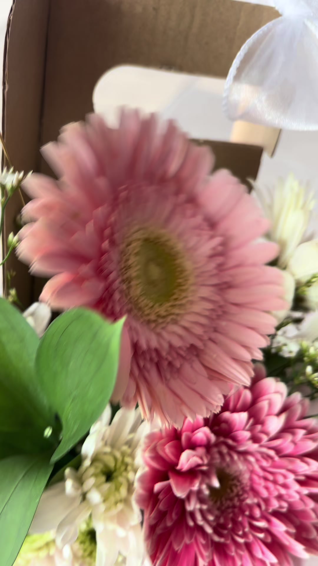 @Surprise Delivery KL