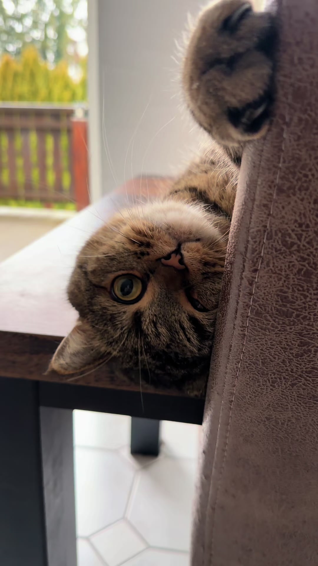 @Джоні 😻