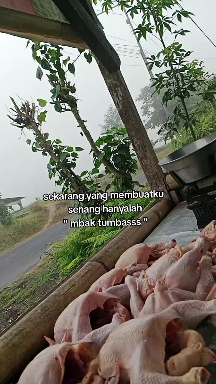 @mbak Laundry