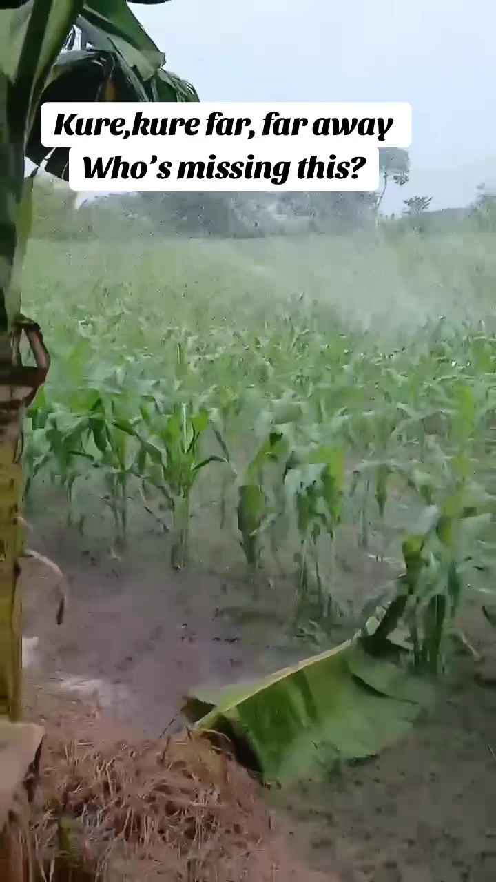 @Sikubwabo kajogi