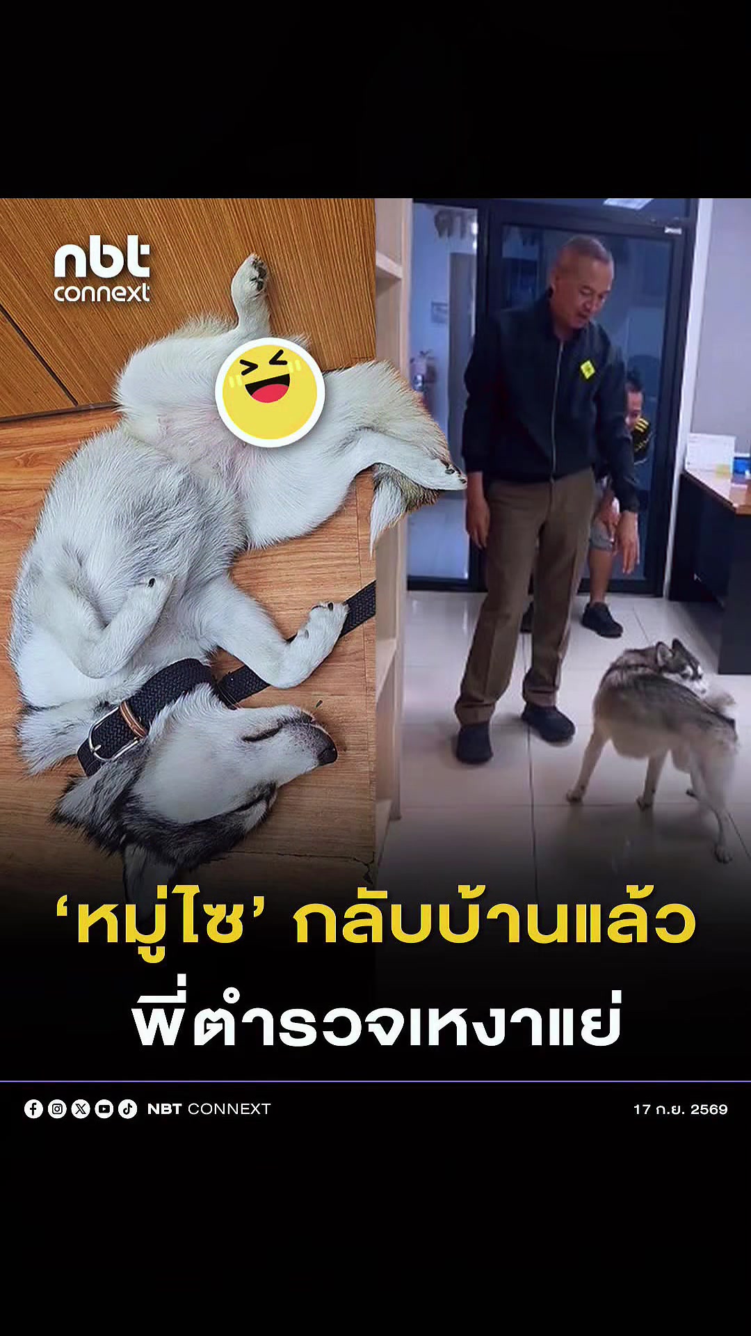@° หมานิ้ง °