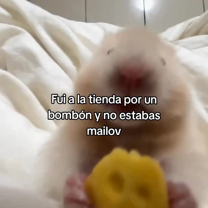 @goodvibessxd