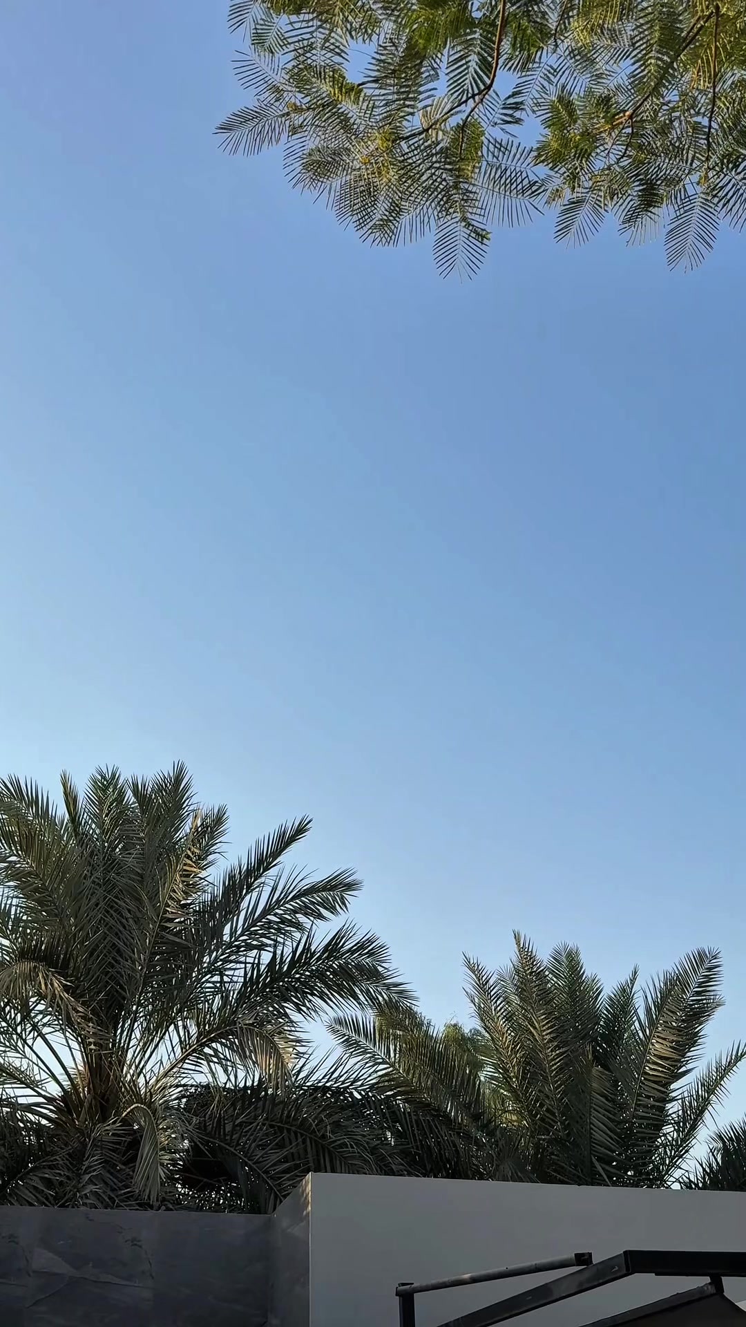 @njoodvibes