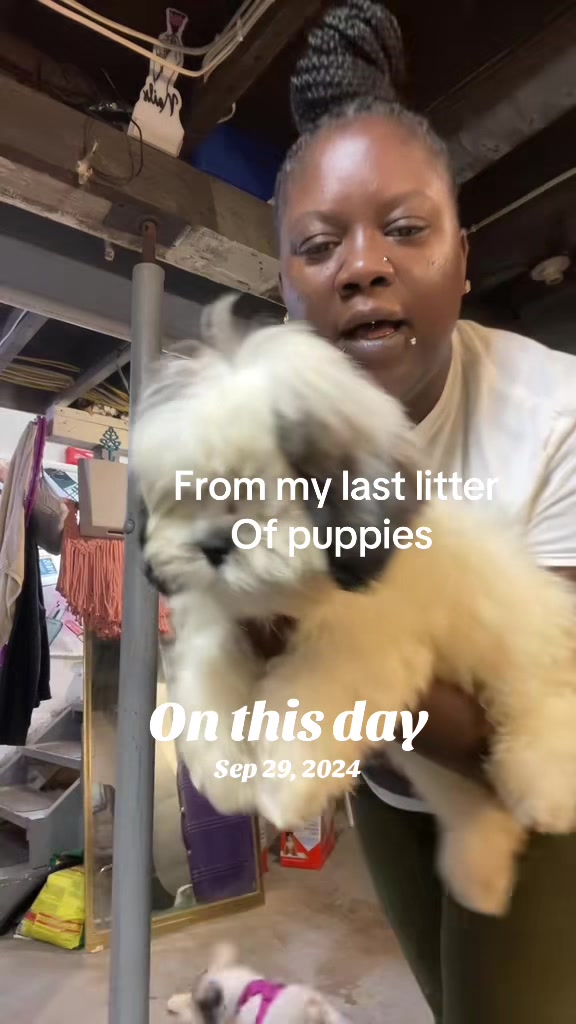 @iambellabeasley