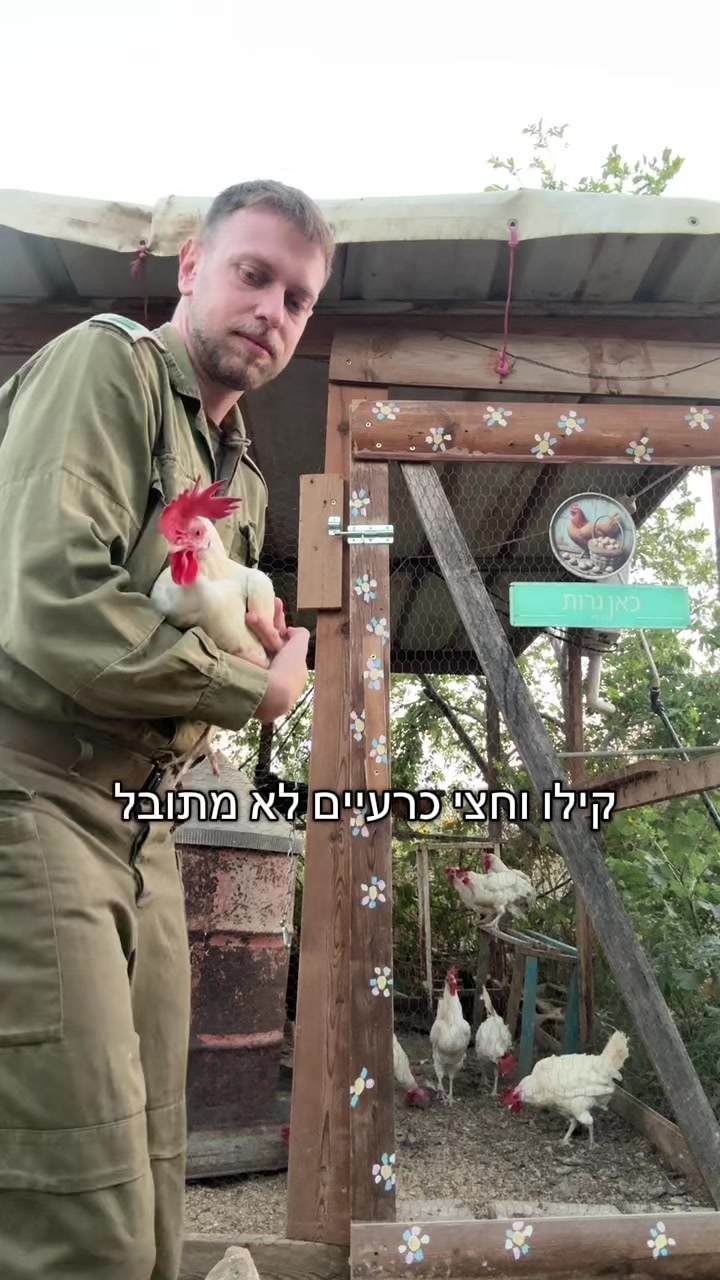 @shachardudai