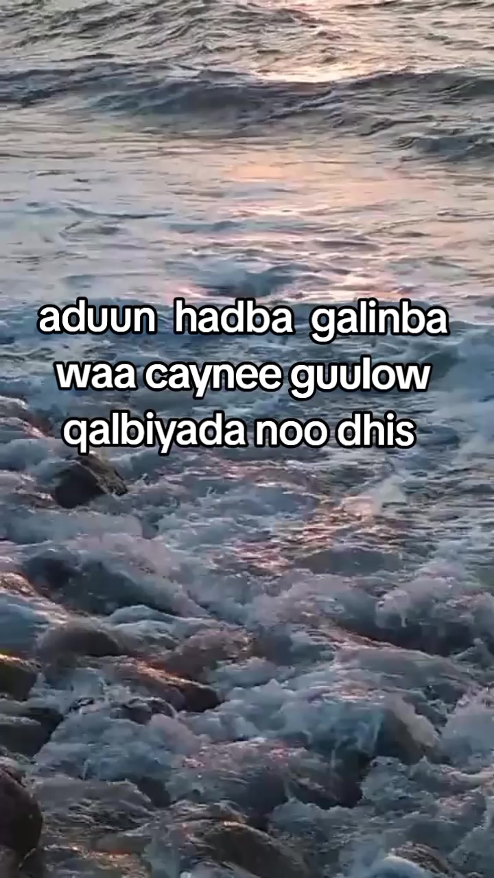 @amran aden