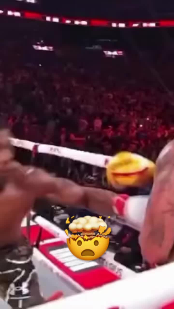@The Vlog Warriors
