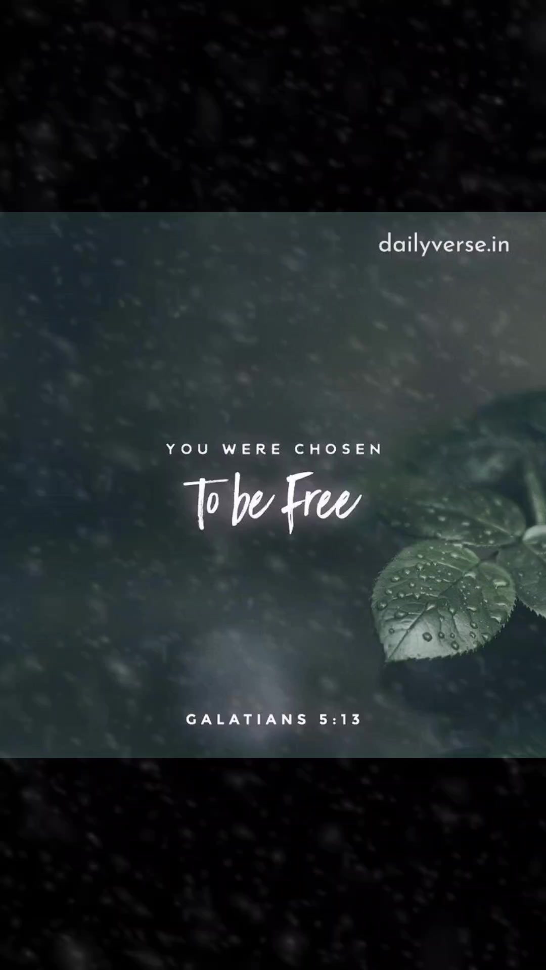 @✝️🤍Joy✝️🤍