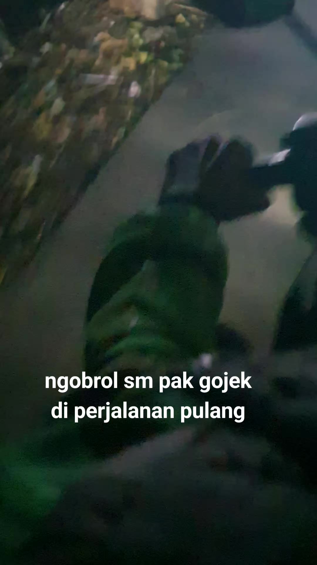 @Mbak2 Jawa