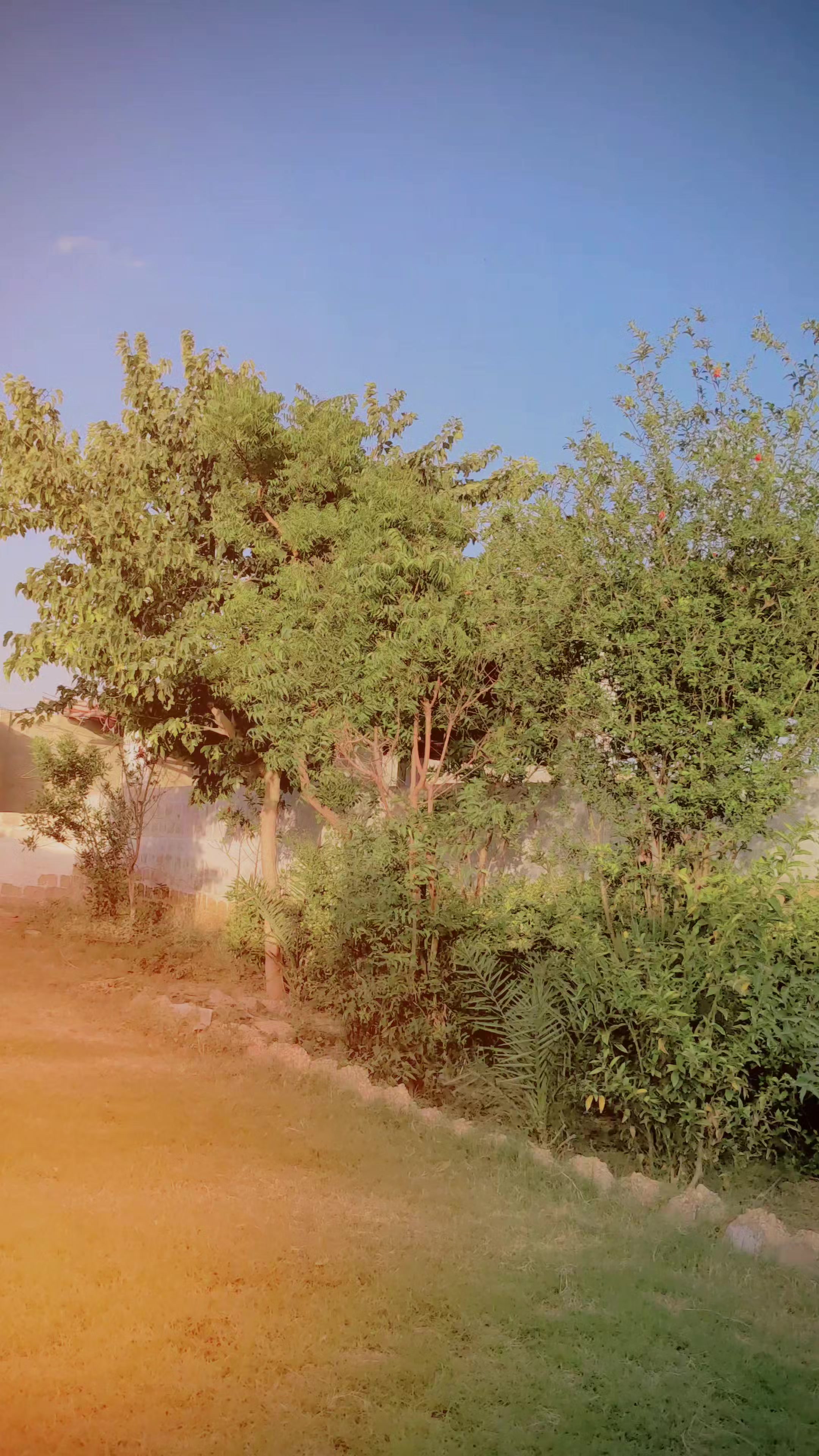 @𝐌𝐊🚩بنگش