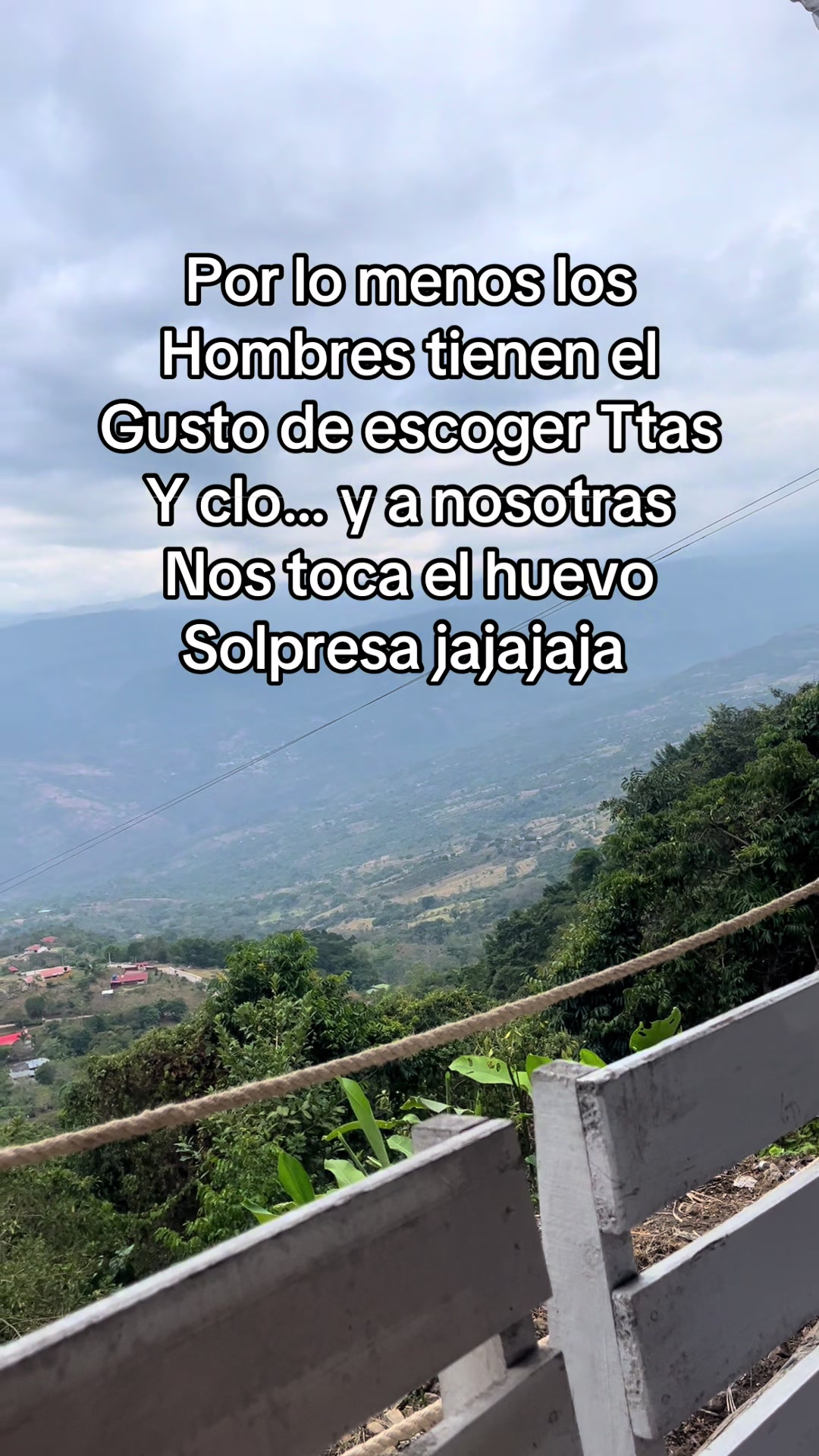 @Viviana Leal