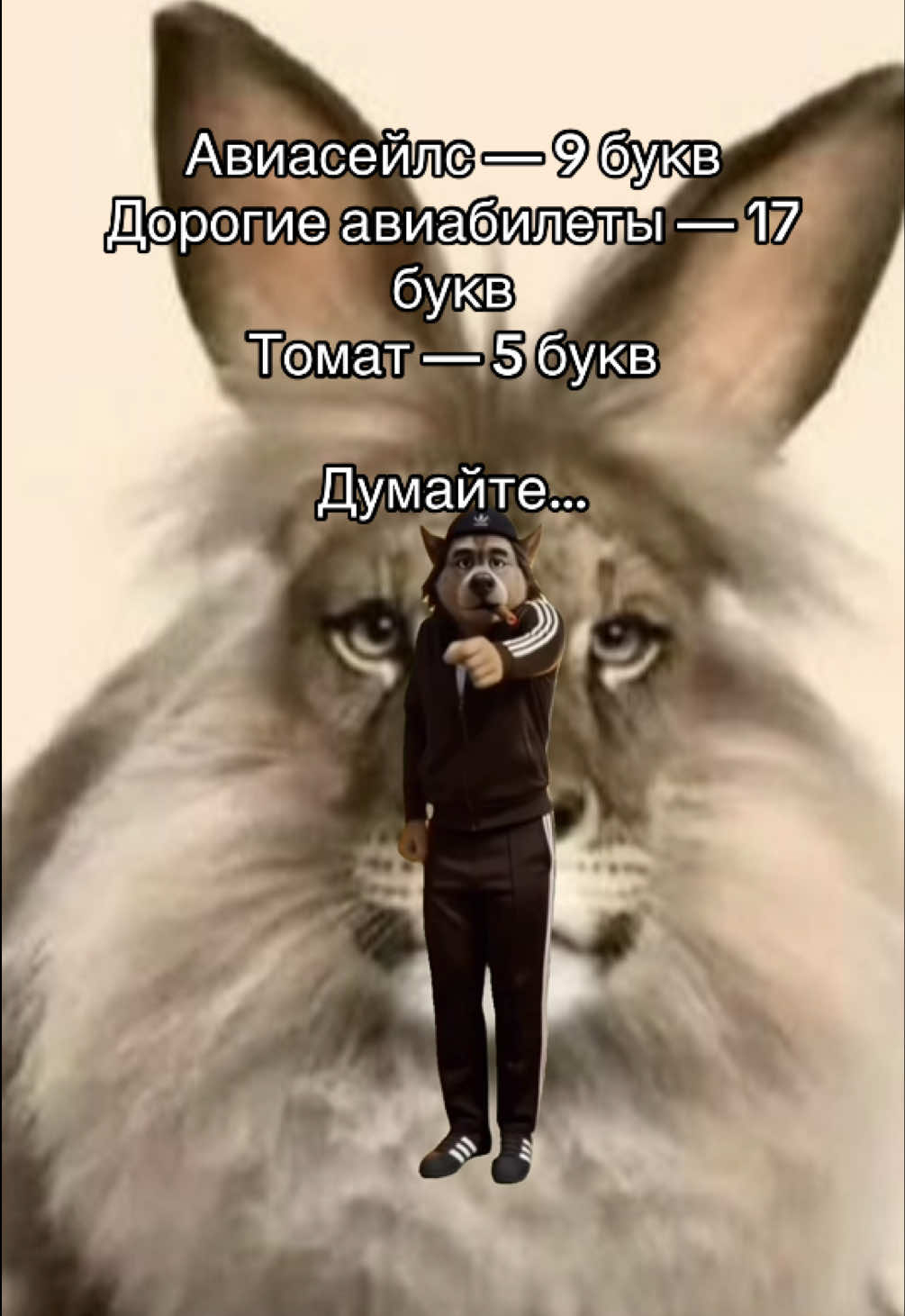@Aviasales Беларусь