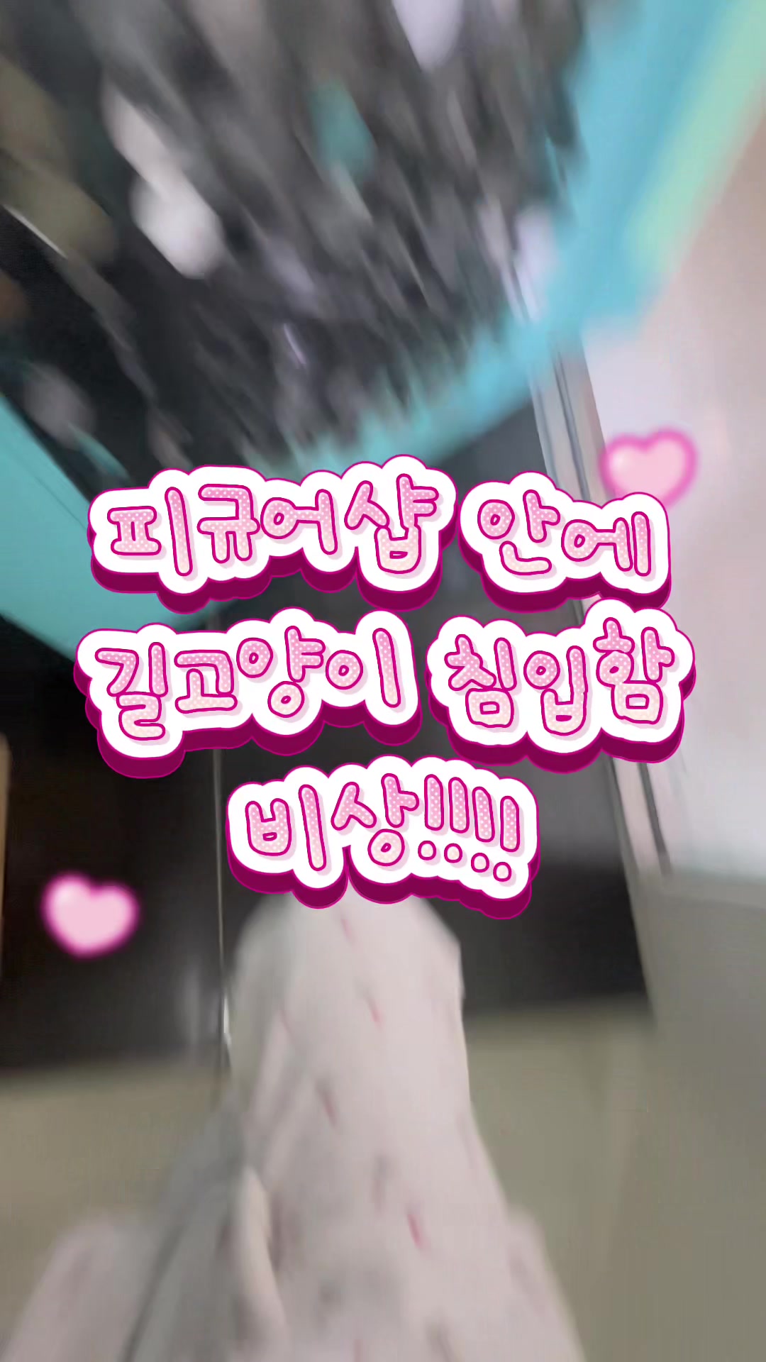 @꙳˖✰김스테파니헤리✰˖⋆゚