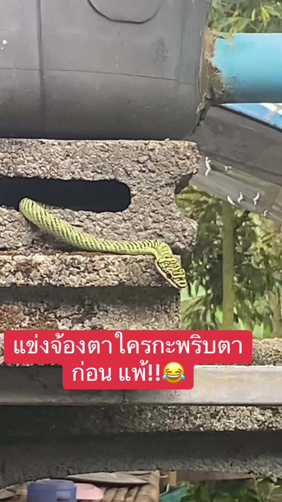 @ป้าข้างบ้าน🙄🙄