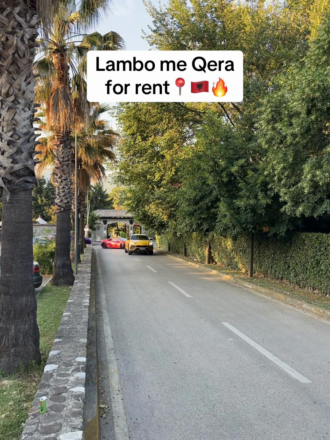@rental.tirana.vip