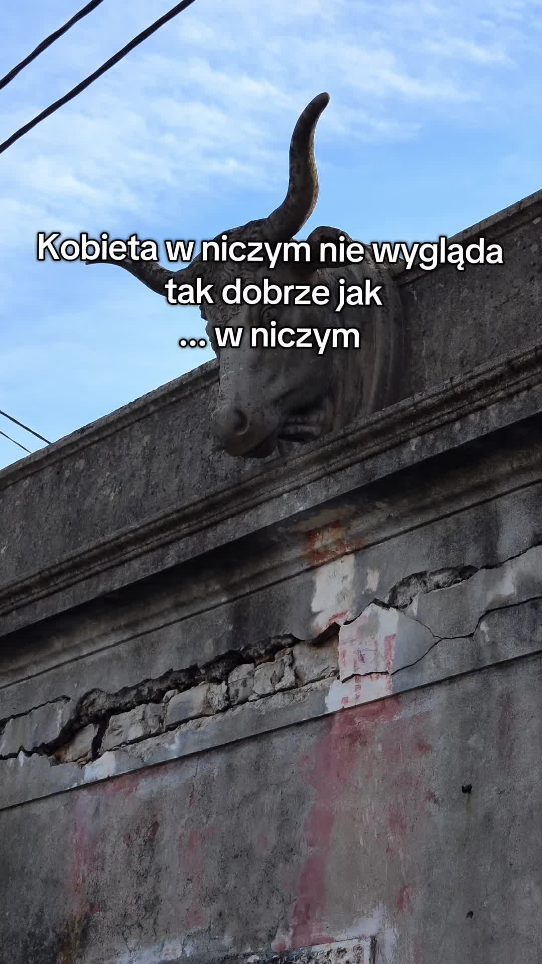 @Czihuahua