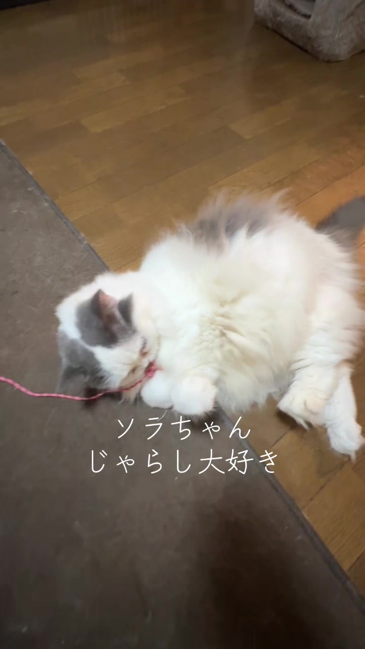 @フカカン