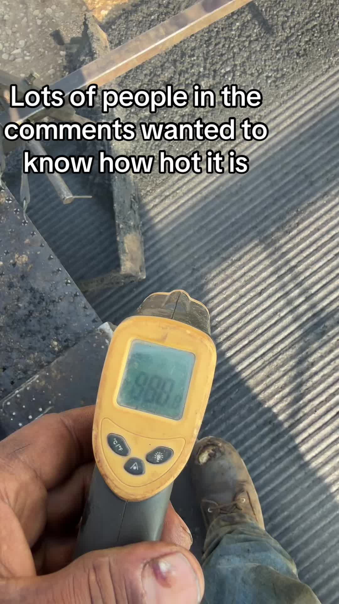 @CALIBOI559