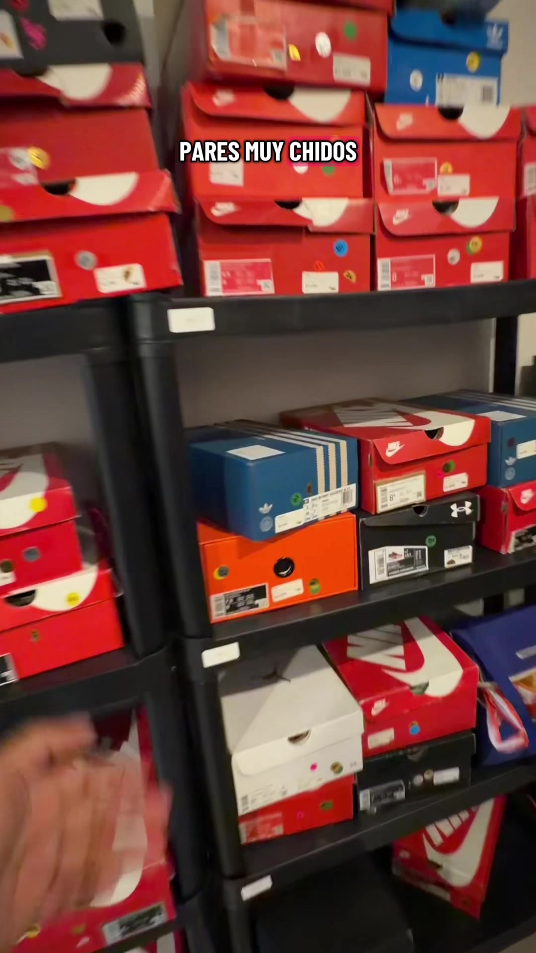 @Familia Sneaker