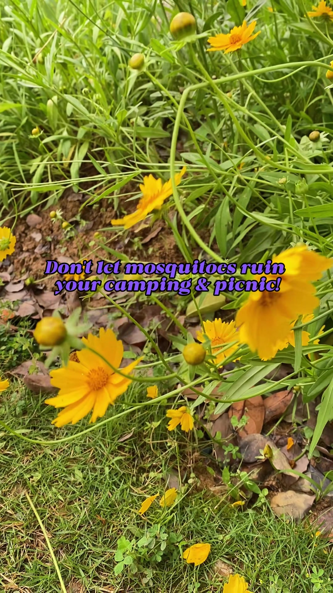@OutdoorBugZapperStore