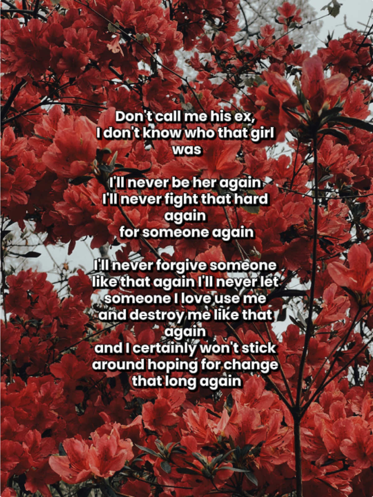 @Ashley Elayne Lawrence 💋