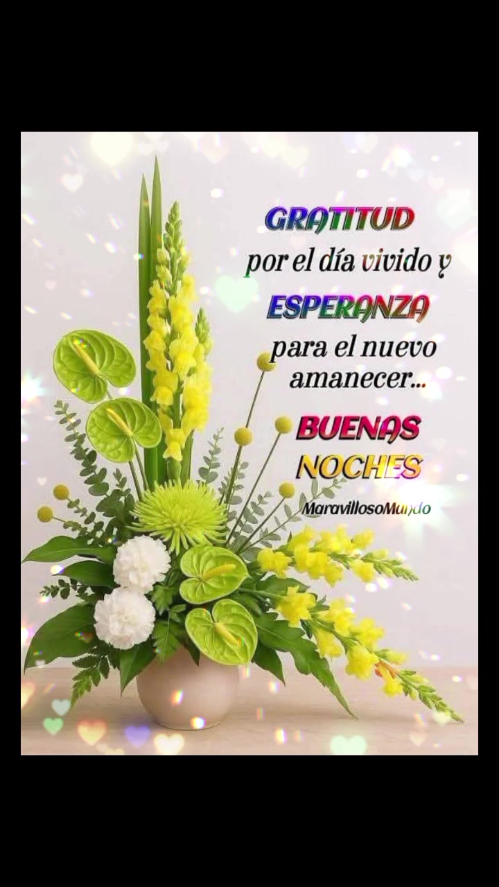 @Anai
