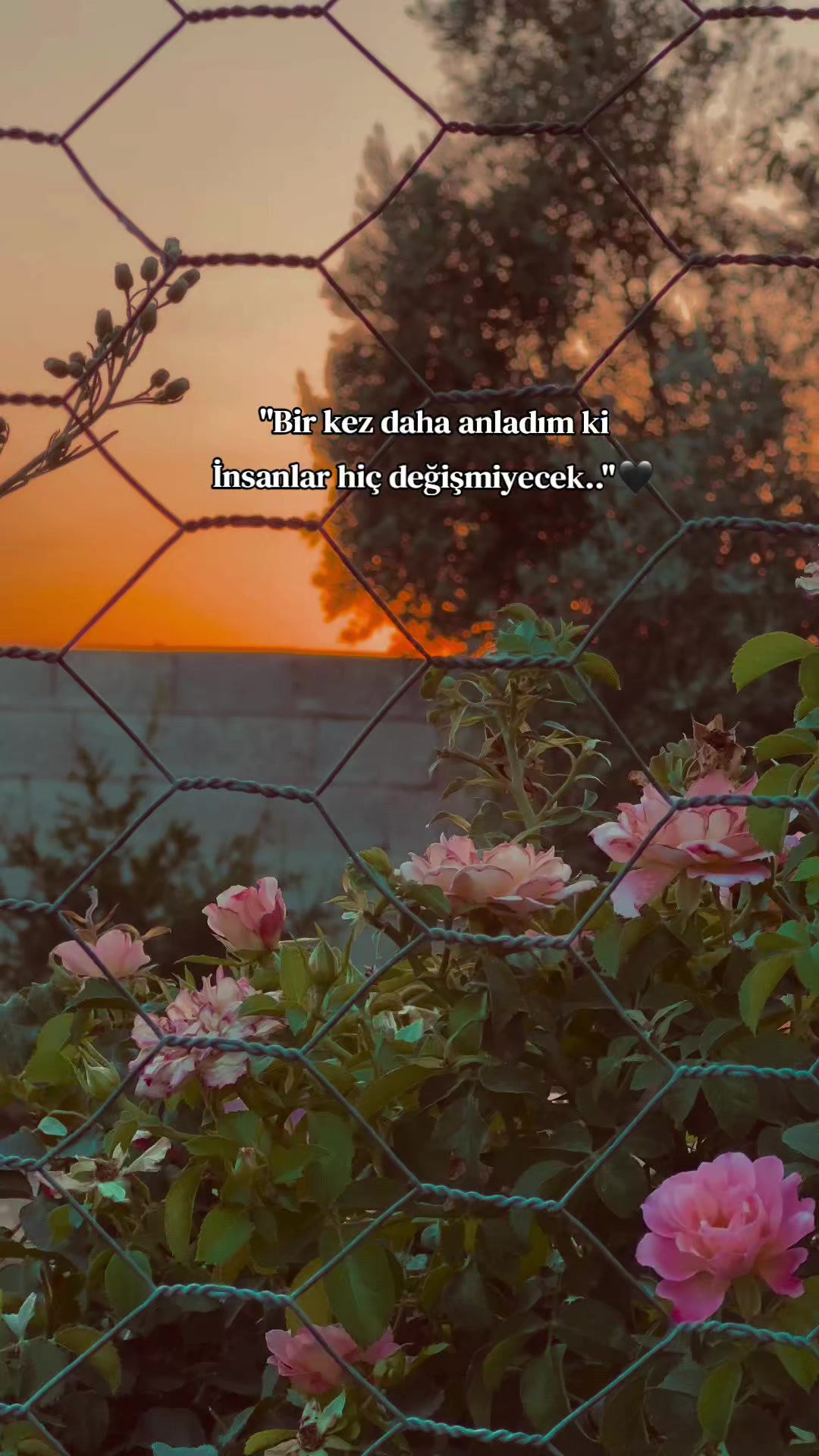 @𝐒 𝐓 𝐄 𝐑 𝐊 ✷