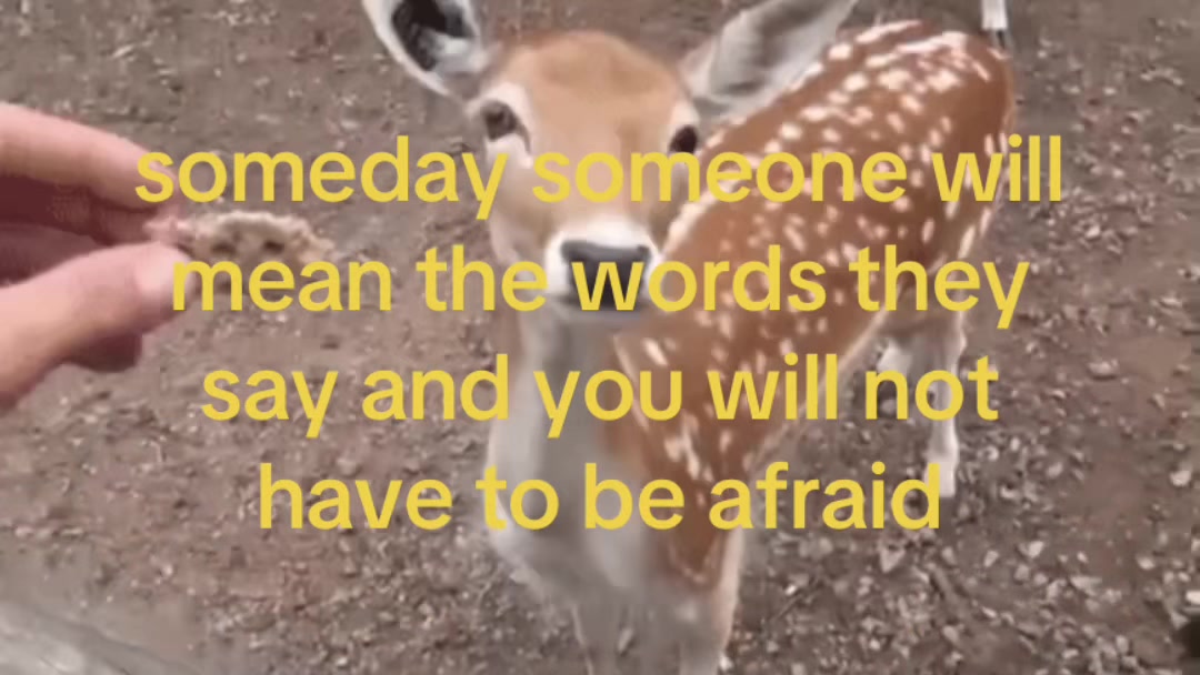 @tobias