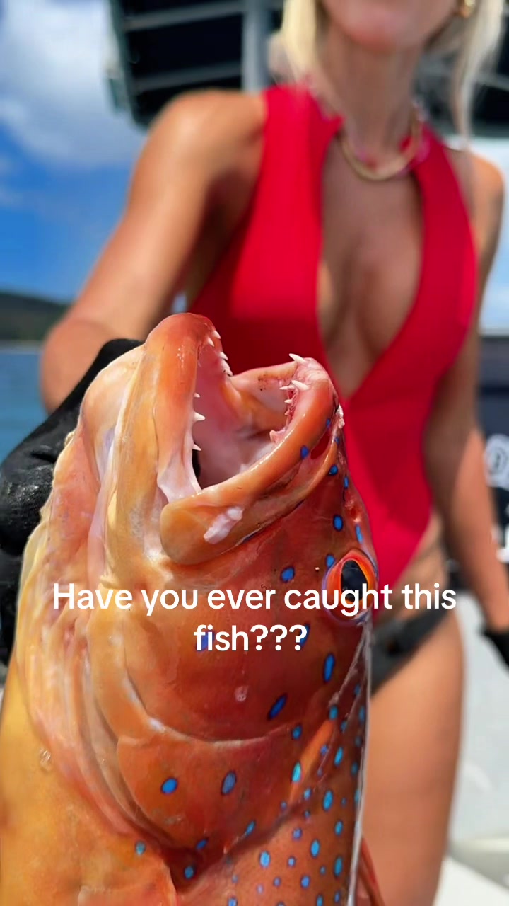 @Fish Huntress Amy