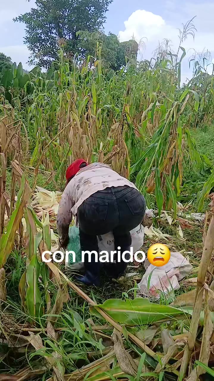 @la morenita
