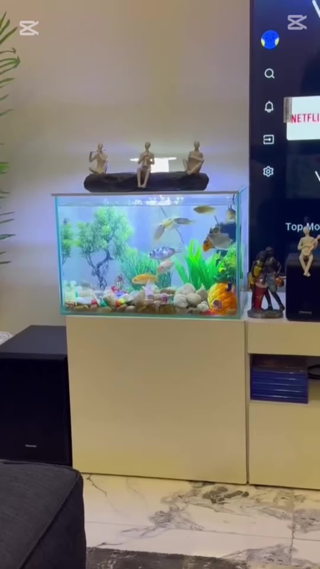 @fishtanks4u_