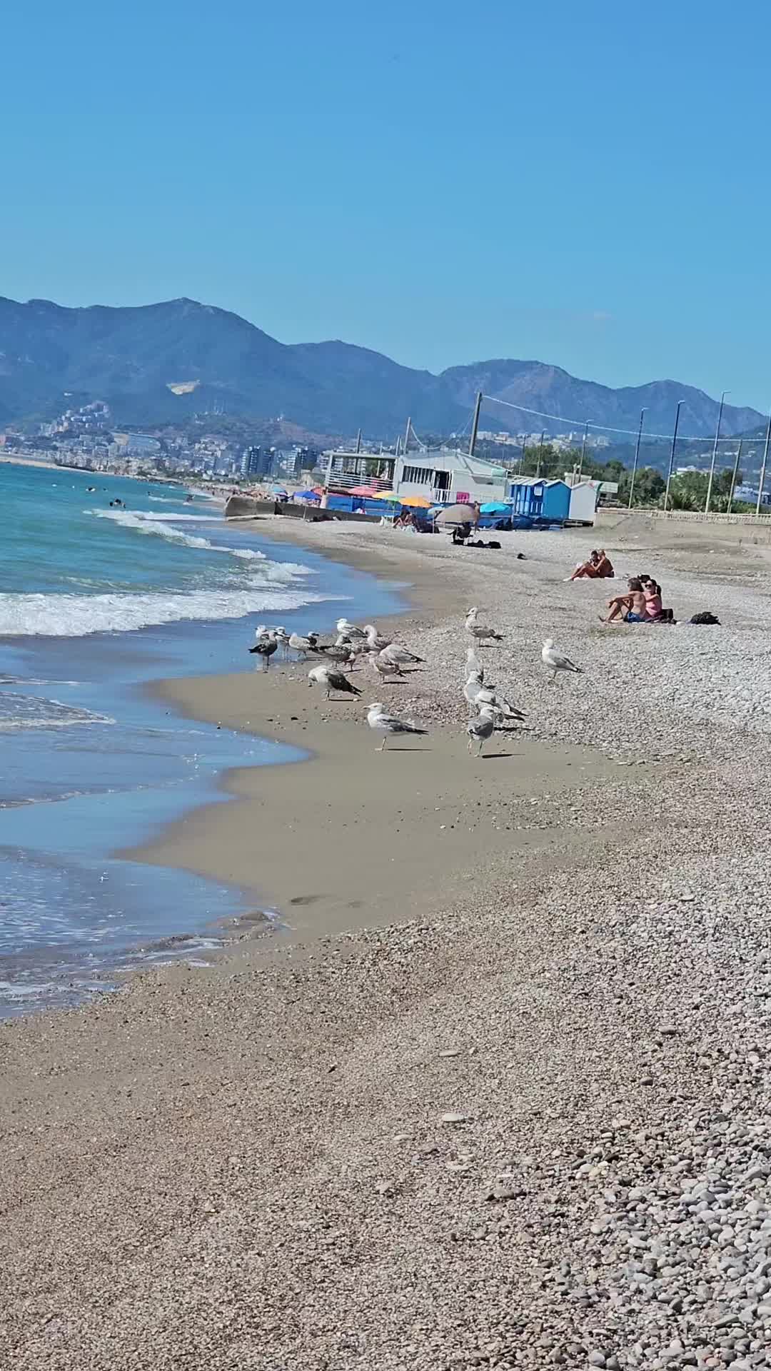 @Annamaria Autuori118